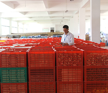 省經信委主任張金如走訪新云集團