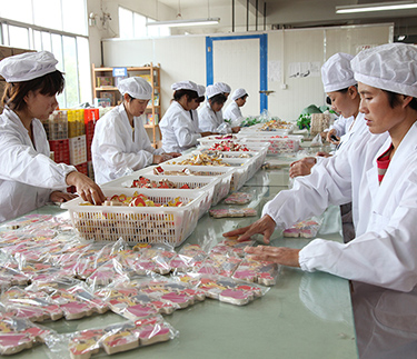 浙江新云木業被選為2012年度麗水市功勛企業名單